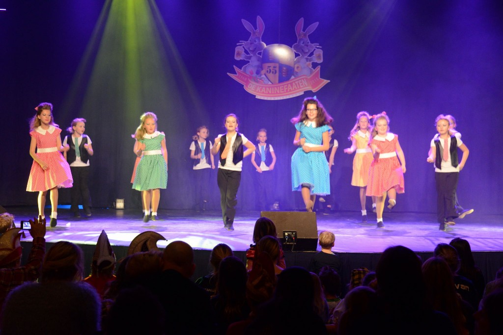 ../Images/Dansmarieke festival 2015 410.jpg